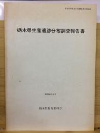 栃木県生産遺跡分布調査報告書