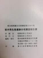 栃木県生産遺跡分布調査報告書