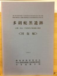 多胡蛇黒遺跡 : 古墳・奈良・平安時代の集落跡の調査