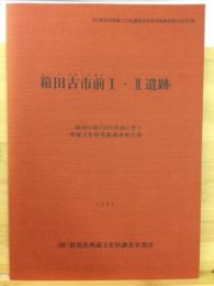 箱田古市前I・II遺跡 : 一級河川滝川河川改修に伴う埋蔵文化財発掘調査報告書