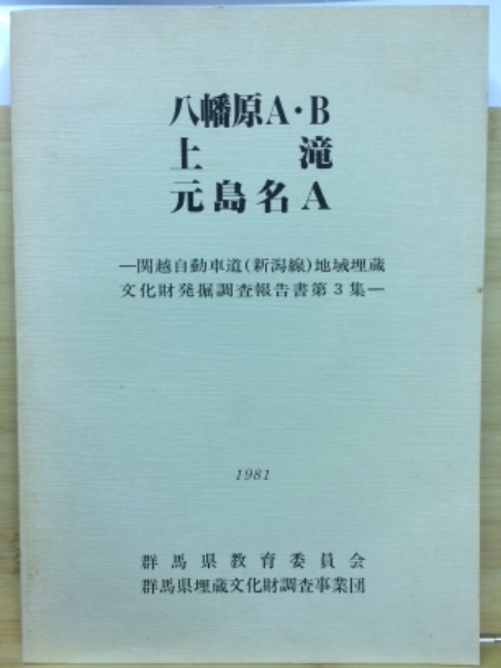 関越自動車道(新潟線)地域埋蔵文化財発掘調査報告書(群馬県教育