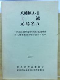 関越自動車道(新潟線)地域埋蔵文化財発掘調査報告書