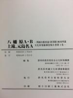 関越自動車道(新潟線)地域埋蔵文化財発掘調査報告書