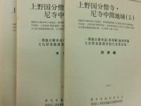 関越自動車道(新潟線)地域埋蔵文化財発掘調査報告書