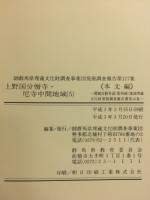 関越自動車道(新潟線)地域埋蔵文化財発掘調査報告書