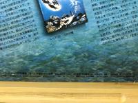 保存版 オール洋画チラシ全集　ロードショー特別編集 全550点収録