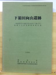 下箱田向山遺跡 : 一般国道17号(真壁交差点改良)工事に伴う埋蔵文化財発掘調査報告書