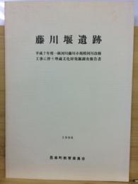 藤川堰遺跡 : 平成7年度一級河川藤川小規模河川改修工事に伴う埋蔵文化財発掘調査報告書