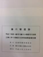 藤川堰遺跡 : 平成7年度一級河川藤川小規模河川改修工事に伴う埋蔵文化財発掘調査報告書