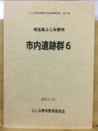 埼玉県ふじみ野市　市内遺跡群6