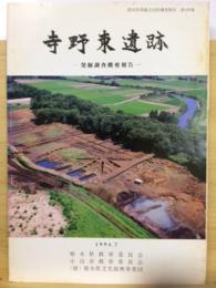 寺野東遺跡 : 発掘調査概要報告