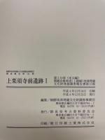 関越自動車道(上越線)地域埋蔵文化財発掘調査報告書
