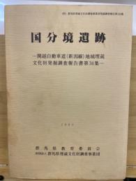 関越自動車道(新潟線)地域埋蔵文化財発掘調査報告書