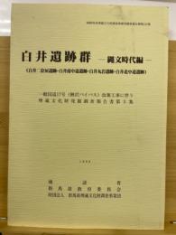 白井遺跡群