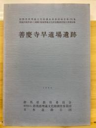 関越自動車道(上越線)地域埋蔵文化財発掘調査報告書