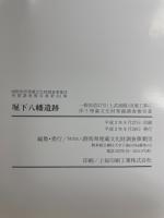 堀下八幡遺跡 : 一般国道17号(上武道路)改築工事に伴う埋蔵文化財発掘調査報告書