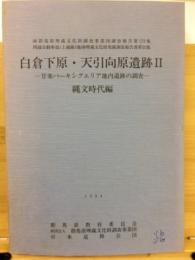 関越自動車道(上越線)地域埋蔵文化財発掘調査報告書