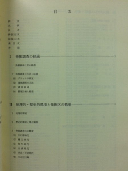 関越自動車道(上越線)地域埋蔵文化財発掘調査報告書(群馬県埋蔵