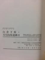関越自動車道(上越線)地域埋蔵文化財発掘調査報告書