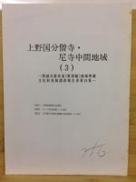 関越自動車道(新潟線)地域埋蔵文化財発掘調査報告書