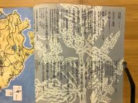 美術手帖　別冊秋