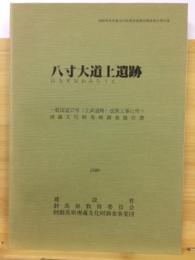 八寸大道上遺跡 : 一般国道17号(上武道路)改築工事に伴う埋蔵文化財発掘調査報告書