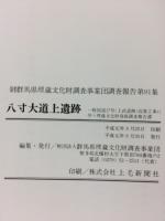 八寸大道上遺跡 : 一般国道17号(上武道路)改築工事に伴う埋蔵文化財発掘調査報告書