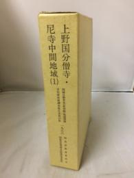 関越自動車道(新潟線)地域埋蔵文化財発掘調査報告書