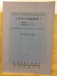 関越自動車道(上越線)地域埋蔵文化財発掘調査報告書