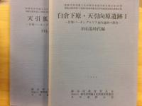 関越自動車道(上越線)地域埋蔵文化財発掘調査報告書