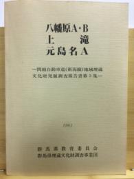 関越自動車道(新潟線)地域埋蔵文化財発掘調査報告書