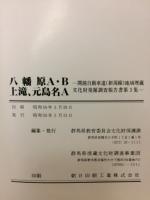 関越自動車道(新潟線)地域埋蔵文化財発掘調査報告書