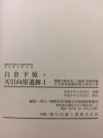 関越自動車道(上越線)地域埋蔵文化財発掘調査報告書