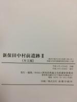 新保田中村前遺跡 : 一級河川染谷川河川改修工事に伴う埋蔵文化財発掘調査報告書第2分冊