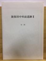 新保田中村前遺跡 : 一級河川染谷川河川改修工事に伴う埋蔵文化財発掘調査報告書第2分冊