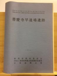 関越自動車道(上越線)地域埋蔵文化財発掘調査報告書