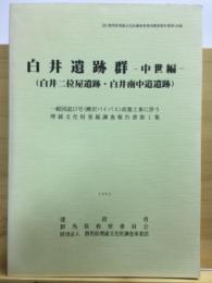 一般国道17号(鯉沢バイパス)改築工事に伴う埋蔵文化財発掘調査報告書