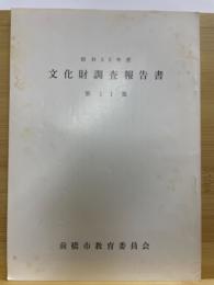 文化財調査報告書