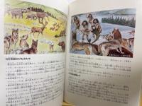 秋吉台3億年