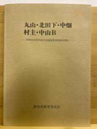 丸山・北田下・中畑・村主・中山B : 昭和62年度荒砥北部遺跡群発掘調査報告