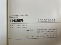 下小鳥遺跡