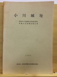 小川城址 : 国道291号道路改良事業区間内埋蔵文化財調査報告書