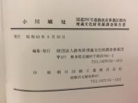 小川城址 : 国道291号道路改良事業区間内埋蔵文化財調査報告書