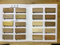 森の博物館原物標本 : 日本人として知っておきたい木30種