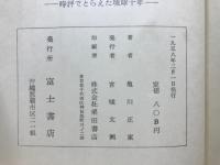 北緯二十九度線 : 時評でとらえた琉球十年