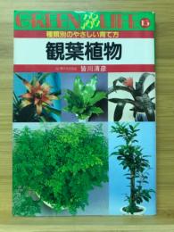 観葉植物 : 種類別のやさしい育て方