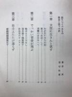 あゝ零戦一代 : 零戦隊空戦始末記
