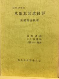 荒砥北部遺跡群発掘調査概報