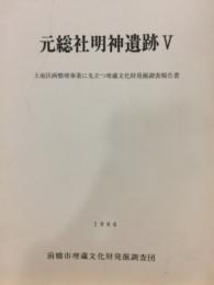 元総社明神遺跡 : 土地区画整理事業に先立つ埋蔵文化財発掘調査報告書