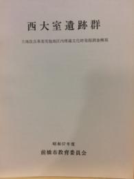 西大室遺跡群 : 土地改良事業実施地区内埋蔵文化財発掘調査概報